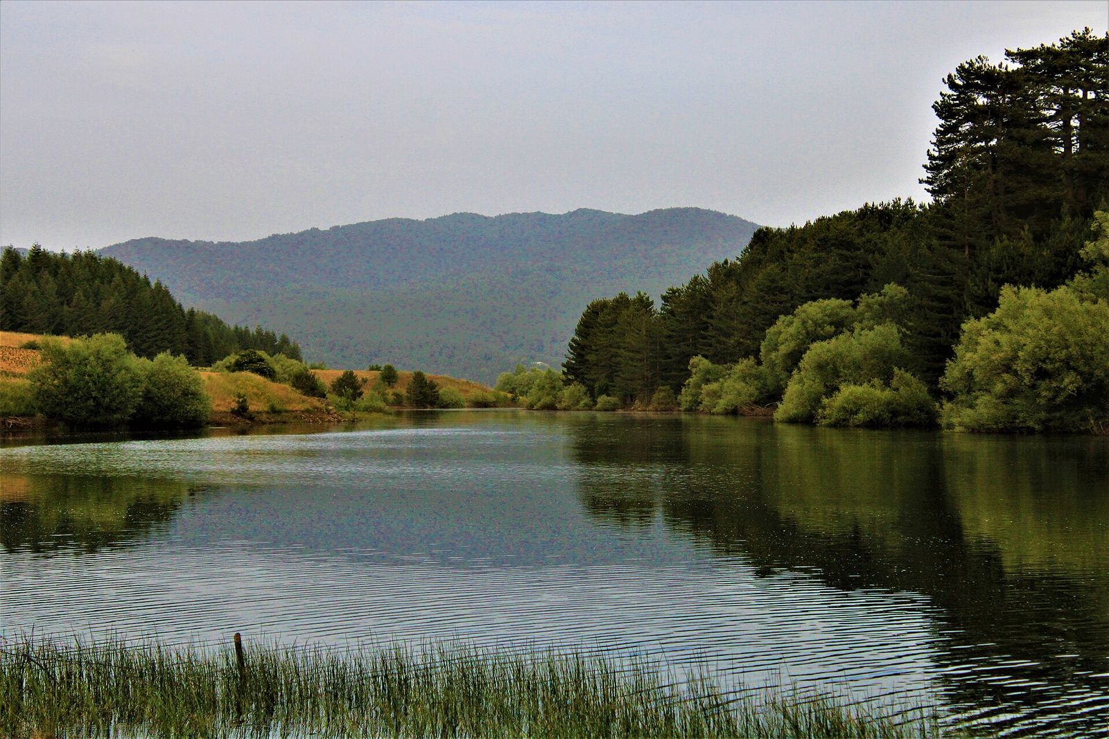 Il lago Cecita nel Parco Nazionale della Sila